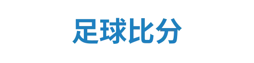 足球比分jiechen